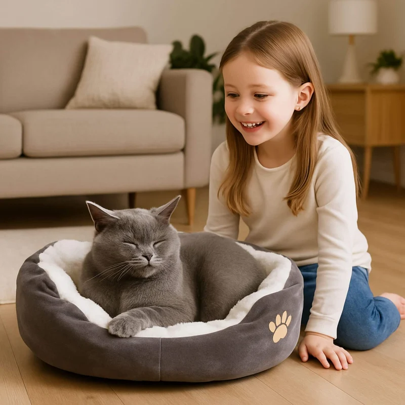 panier chat patte