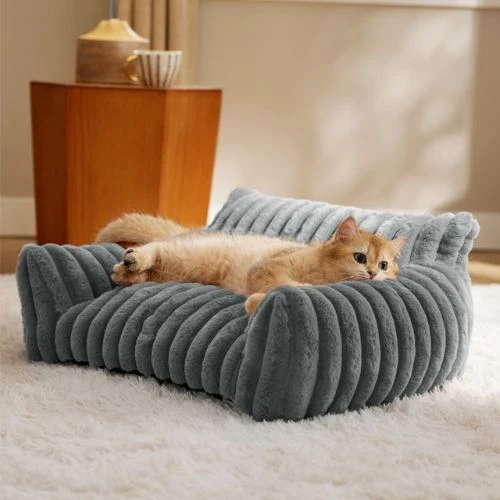 canapé chat luxueux