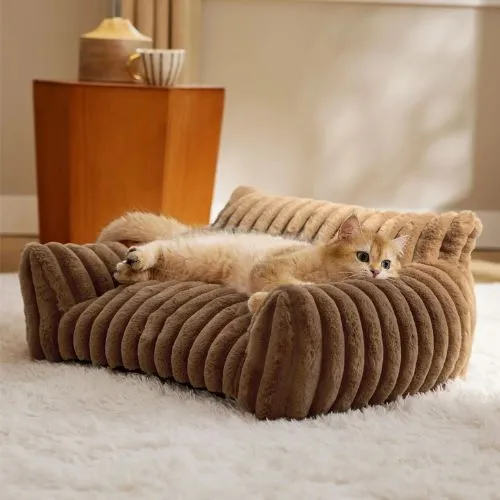 canapé chat luxueux