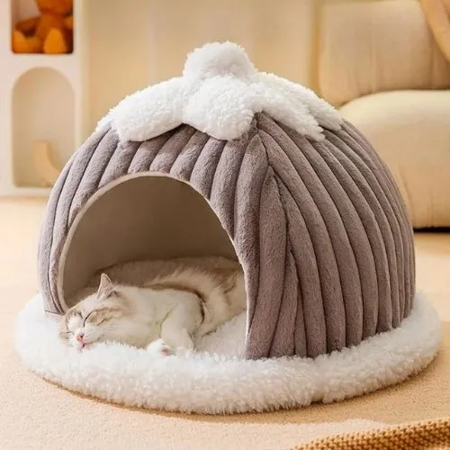 cabane chat forme citrouille