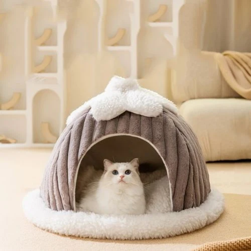 cabane chat forme citrouille