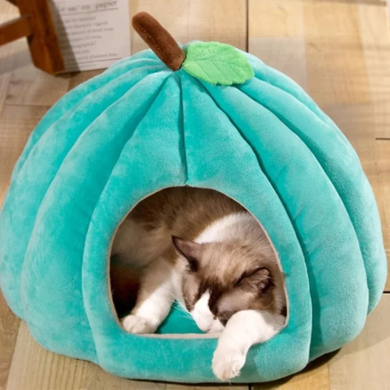 niche à chat citrouille