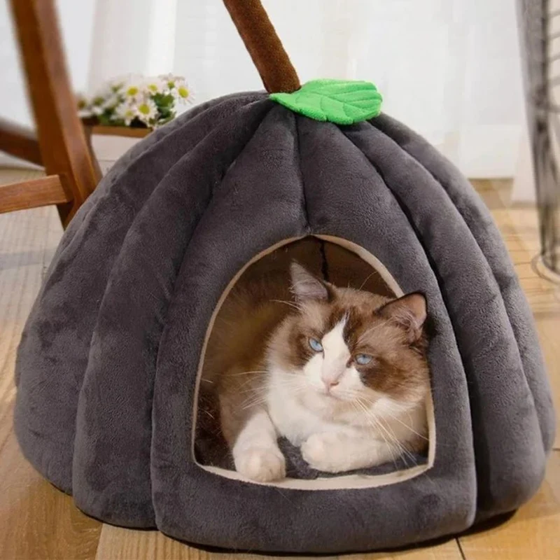 niche à chat citrouille