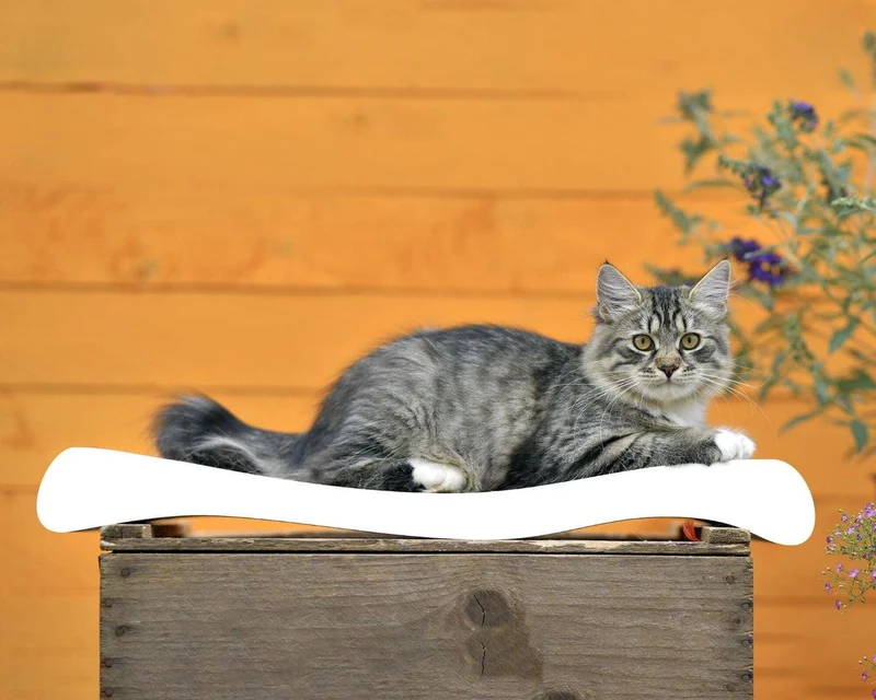 Griffoir vague pour chat - OLA