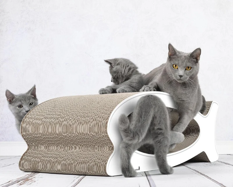 Griffoir original pour chat - LE FISH