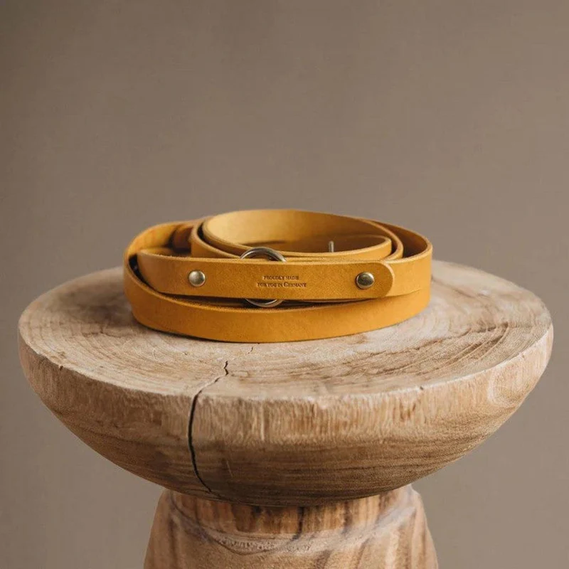 Laisse longue pour chien - LASSO