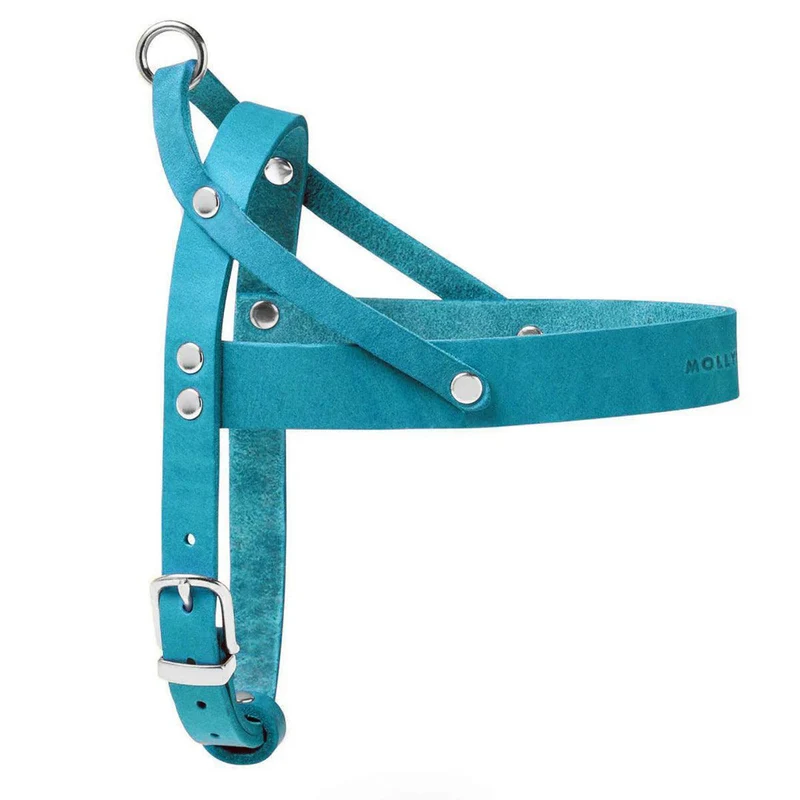 Harnais de luxe pour chien - FIDJI