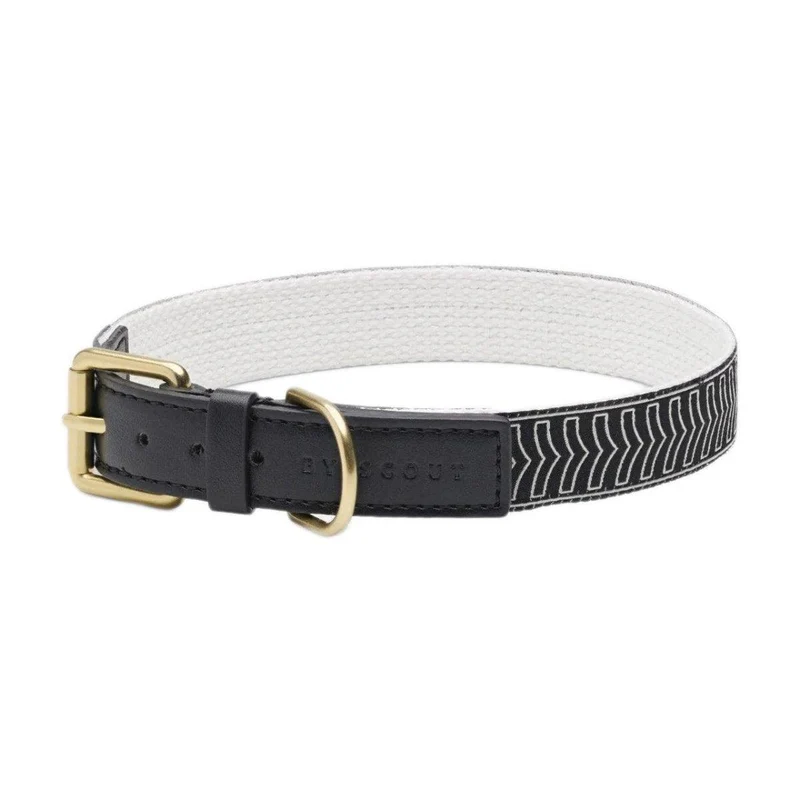 Collier pour chien haut de gamme - HEY SCOUT