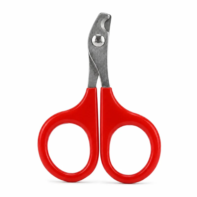 Coupe-ongles professionnel pour petit chaton
