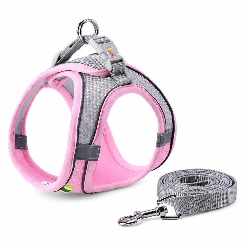Ensemble de laisse et maille réglable pour chat