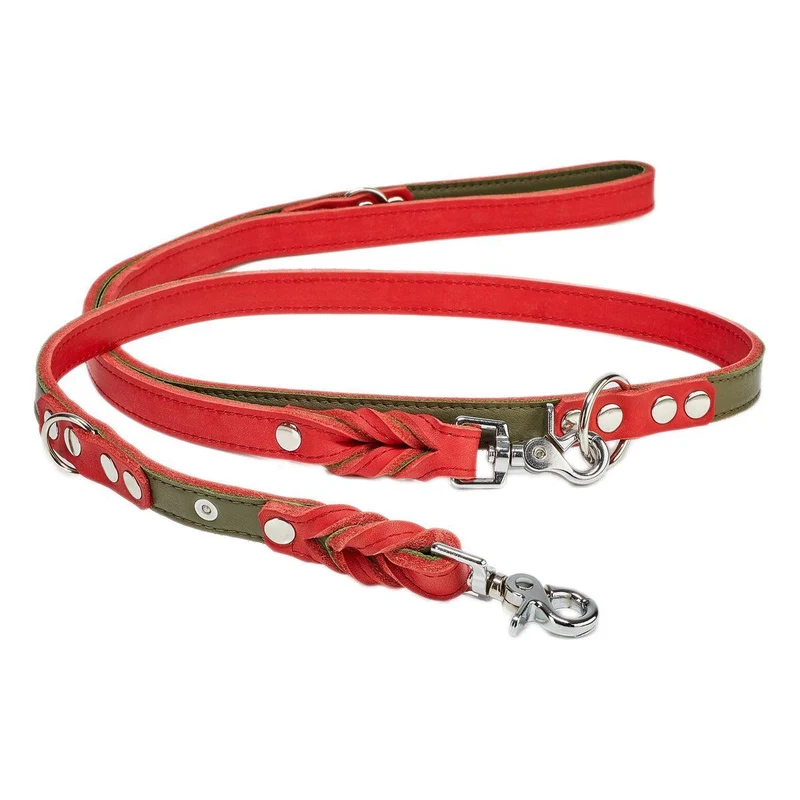Laisse pour chien travaillée - SWISS