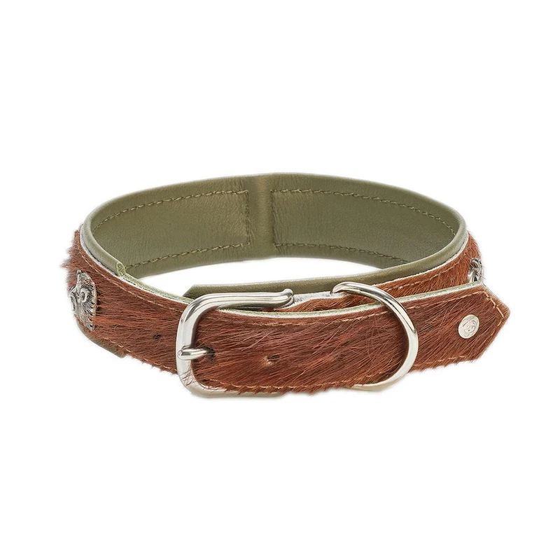 Collier pour chien en cuir décoré - SWISS