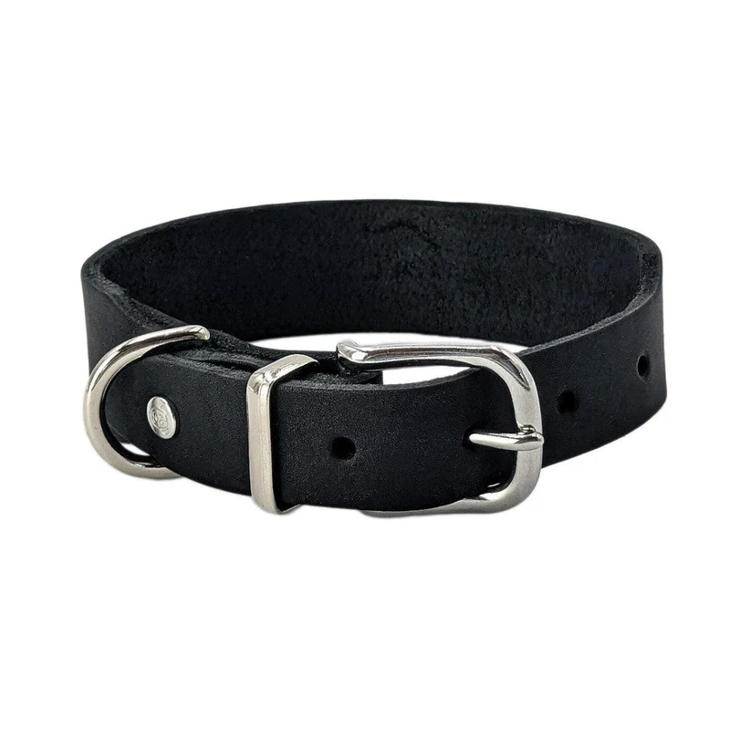 Collier pour chien élégant - GIRO