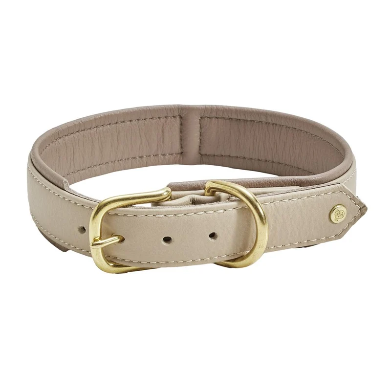 Collier pour chien en cuir large - AMICI