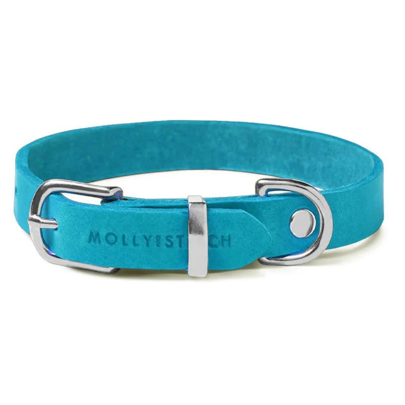 Collier en cuir pour chien - FIDJI