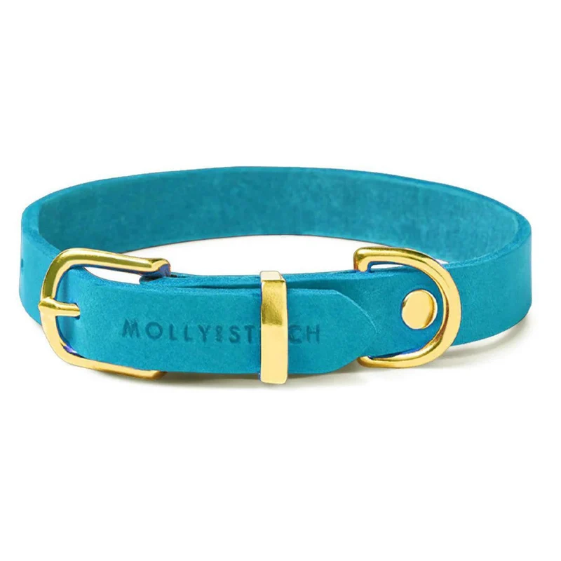 Collier en cuir pour chien - FIDJI