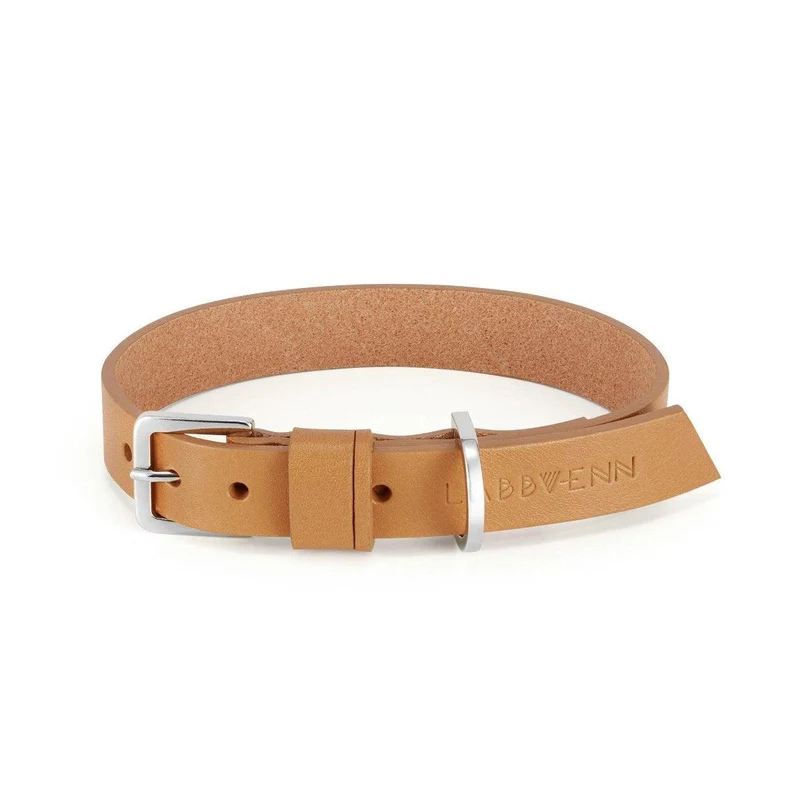 Collier pour chien raffiné - KOLLU