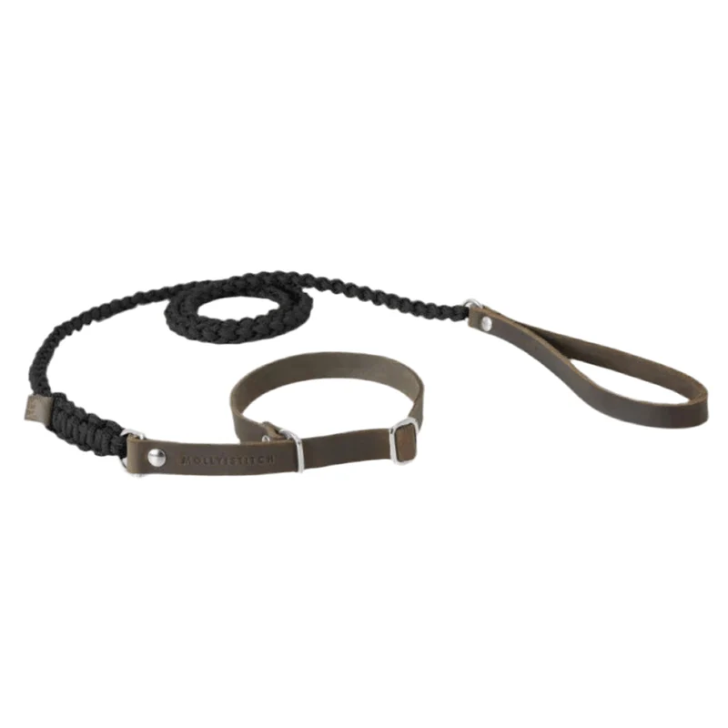 Laisse et collier pour chien deux en un - TOUCH OF LEATHER RETRIEVER