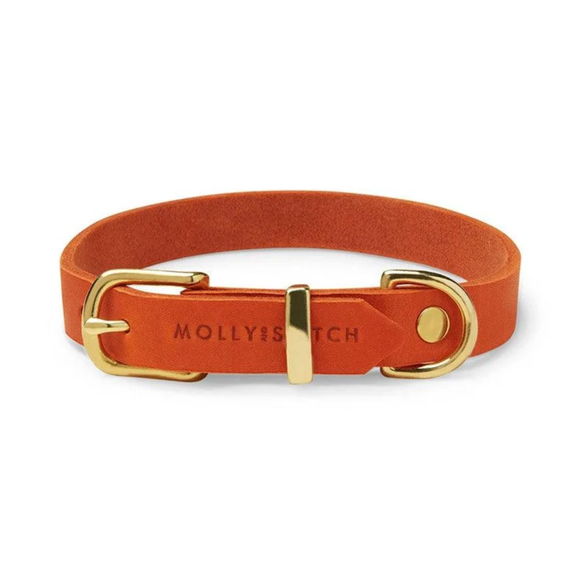 Collier pour chien en cuir - BUTTER