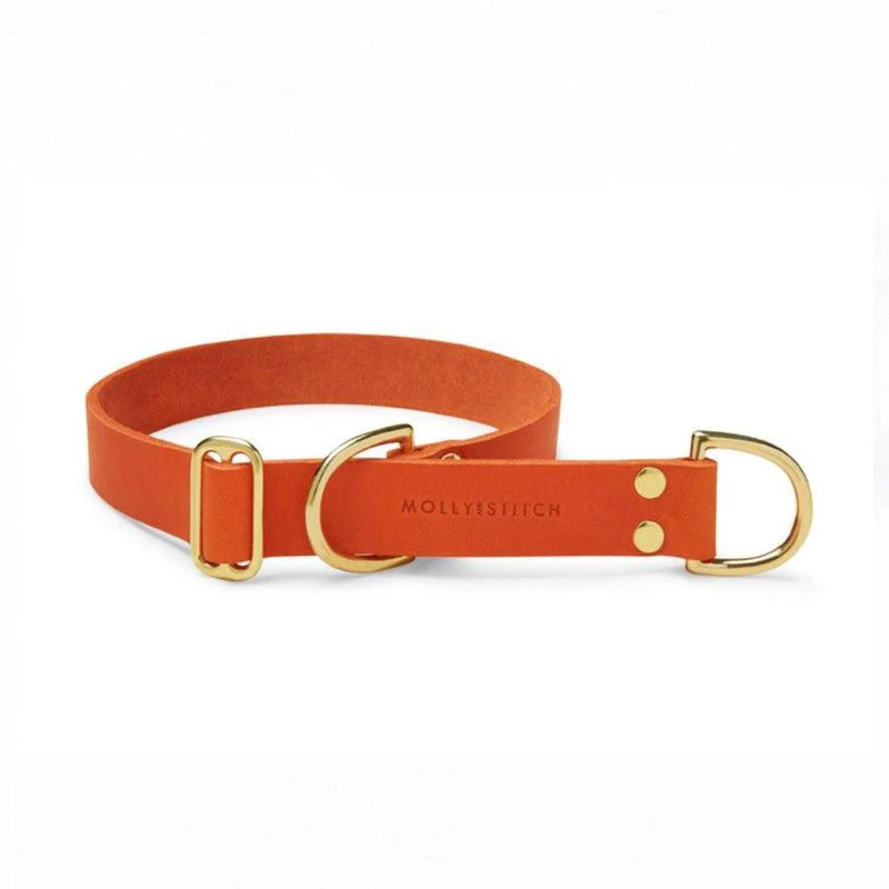 Collier pour chien réglable - BUTTER RETRIEVER
