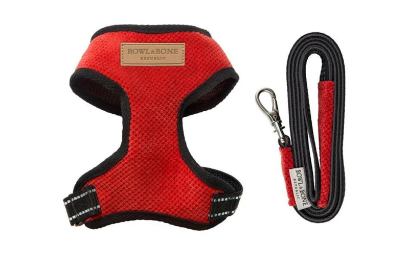 Harnais pour chien en tissu - Modèle CANDY