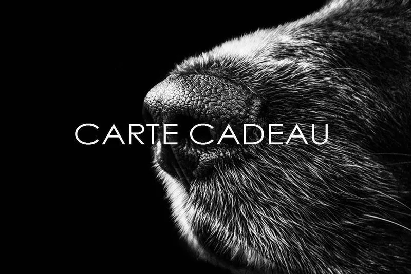 Carte cadeau Kasibe