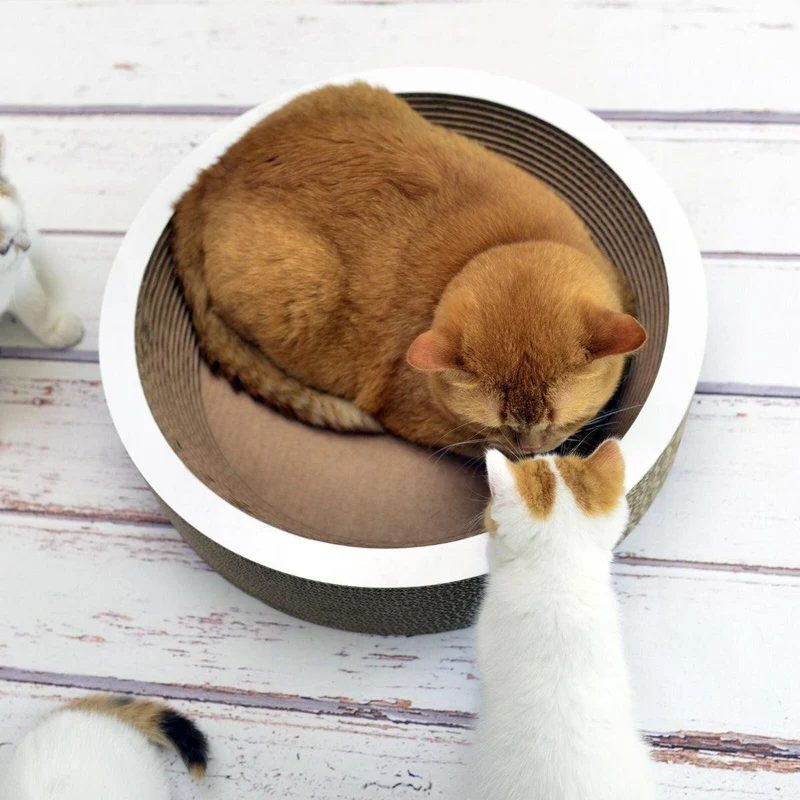 Panier en carton pour chat - COUPE CORBEILLE