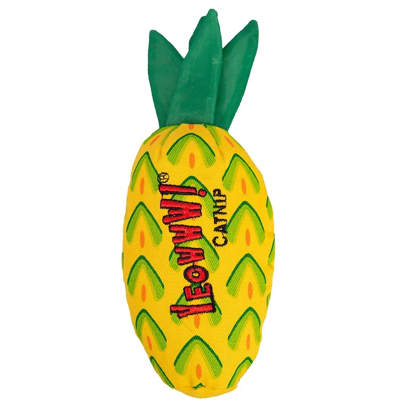 Ducky World - Ananas - Jouet d'Herbe à Chat
