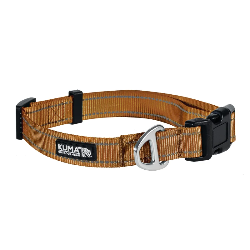 Kuma - Outdoor Gear - Chien - Collier - Lazy Bear - Sierra