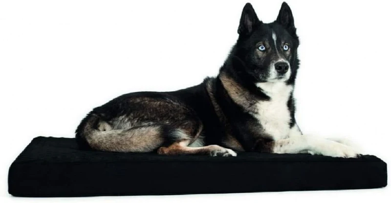Back On Track Matelas pour chien 60 cm x 70 cm