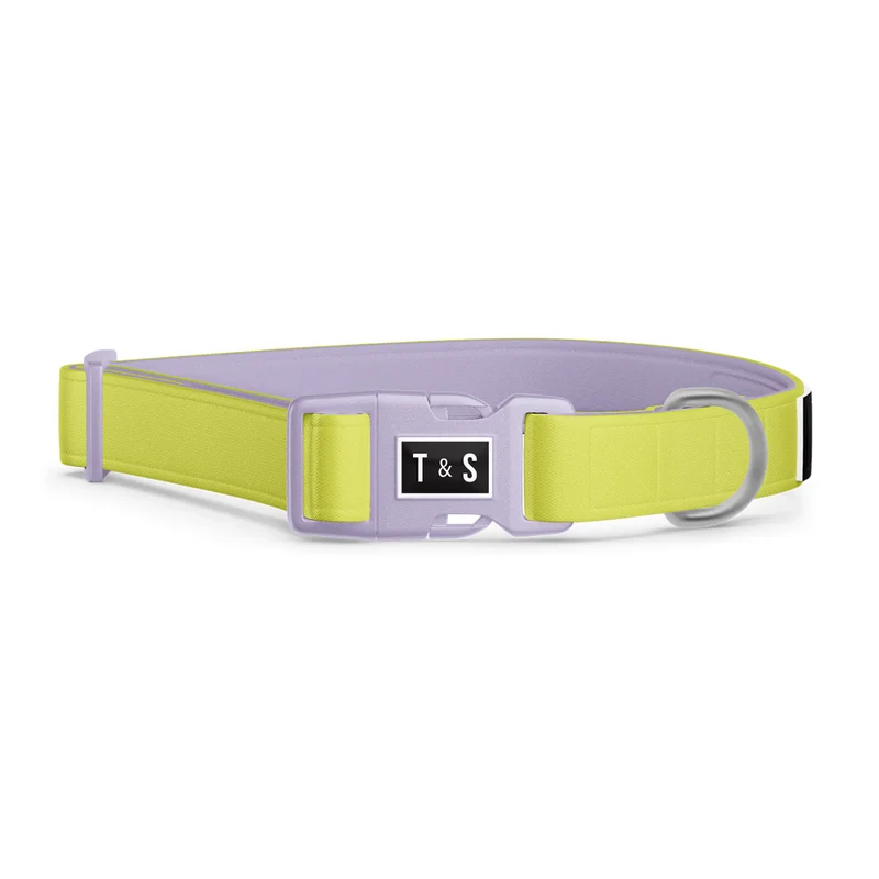 Tella et Stella - Collier - Lime - Chien