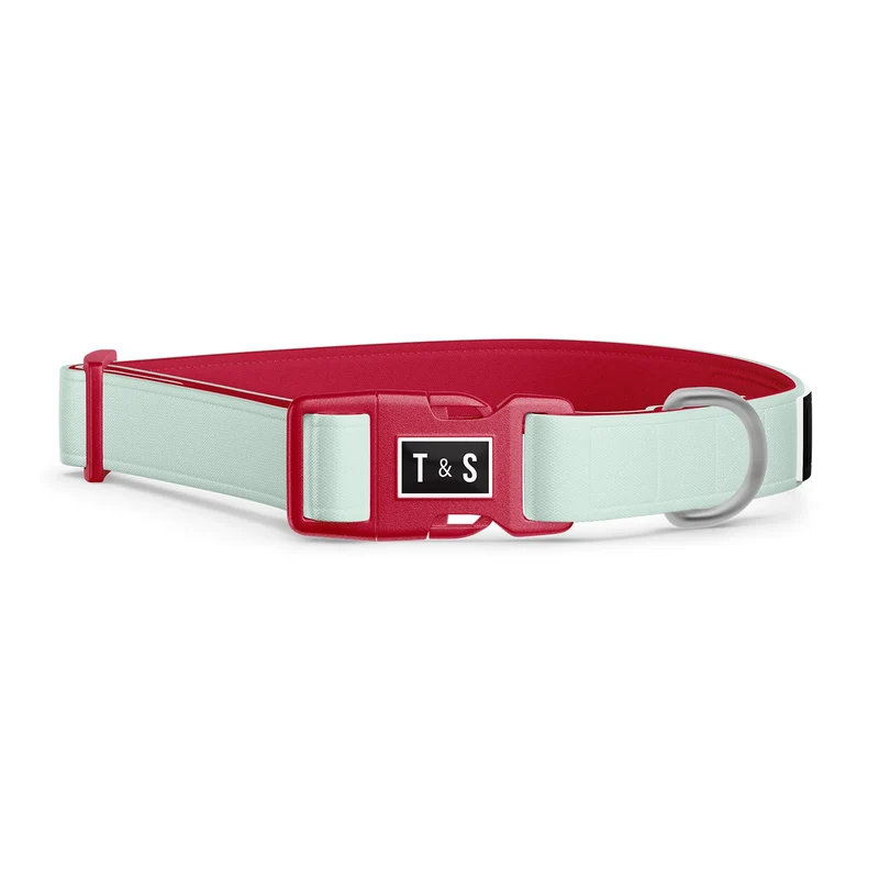 Tella et Stella - Collier - Turquoise - Chien