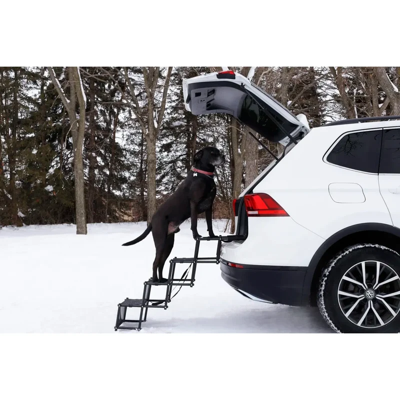 Escaliers Pliables de Voiture Le Bon Chien