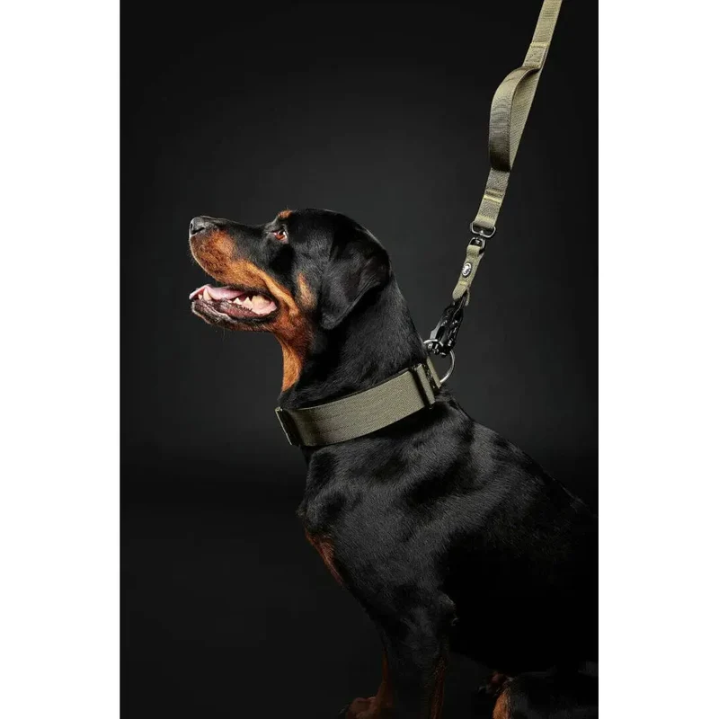 Laisse Tactique Double Poignée - Le Bon Chien