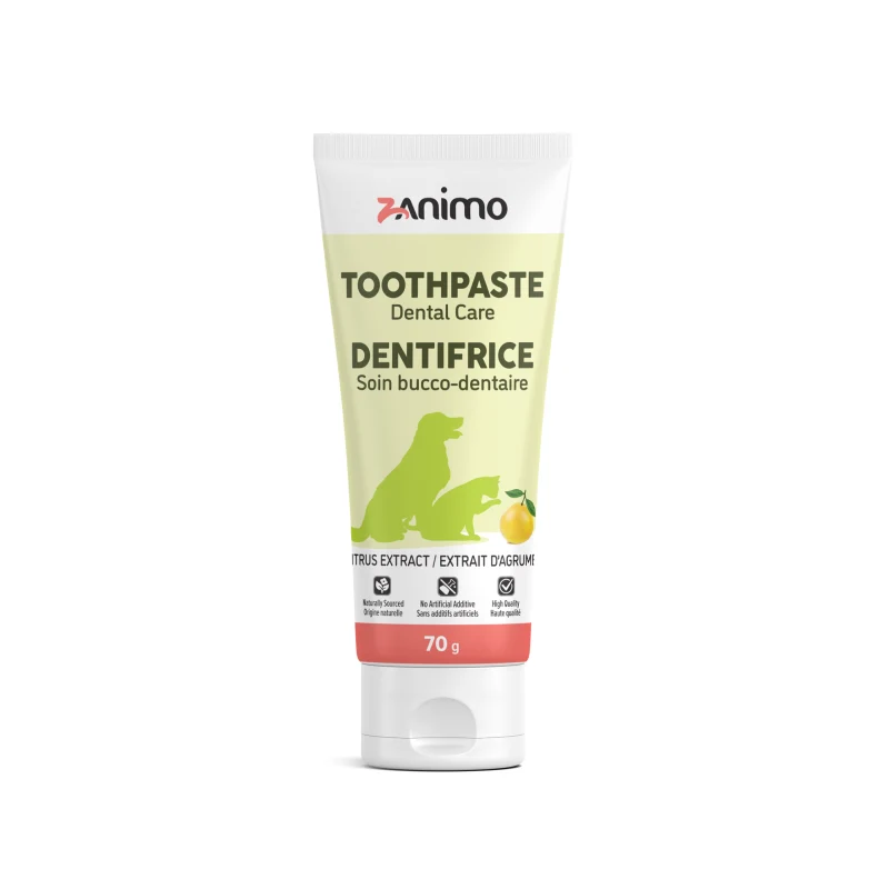 Dentifrice