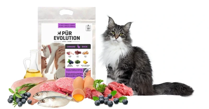 Pur Evolution - Cru - Formule Canard - Chat