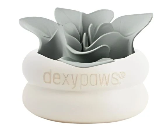 Dexypaws - Bol Ralentisseur - En Silicone - Laitue - Chien