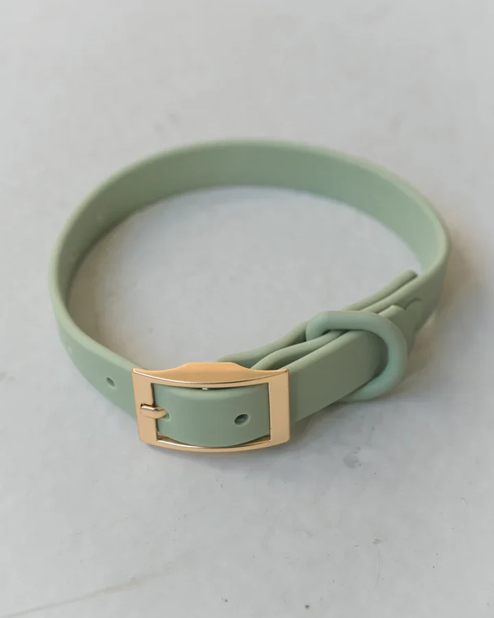 Dexypaws - Collier Imperméable - Vert Sauge - Chien