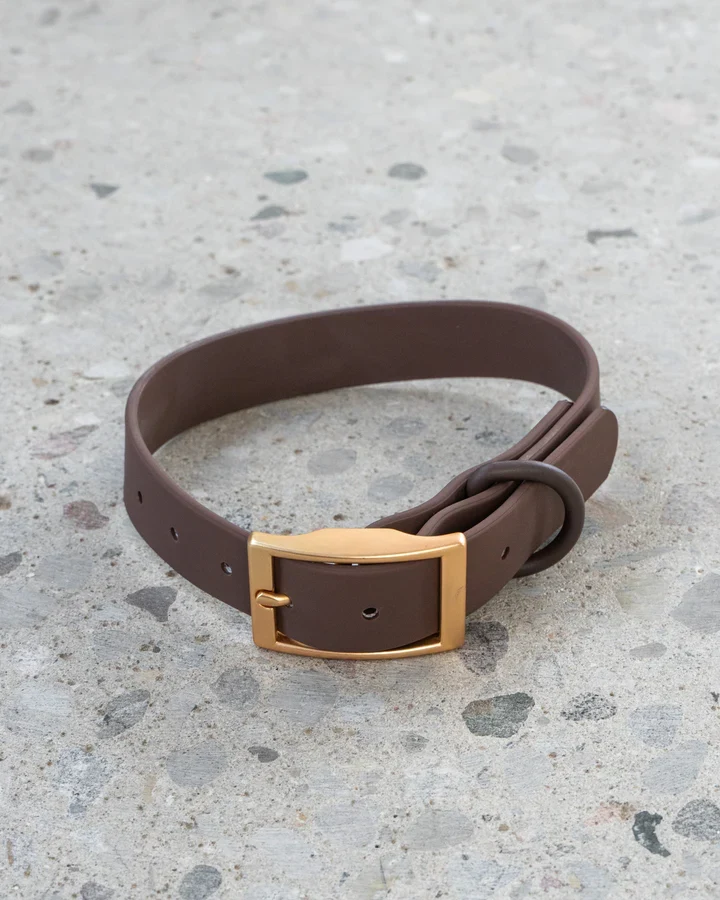 Dexypaws - Collier Imperméable - Espresso - Chien
