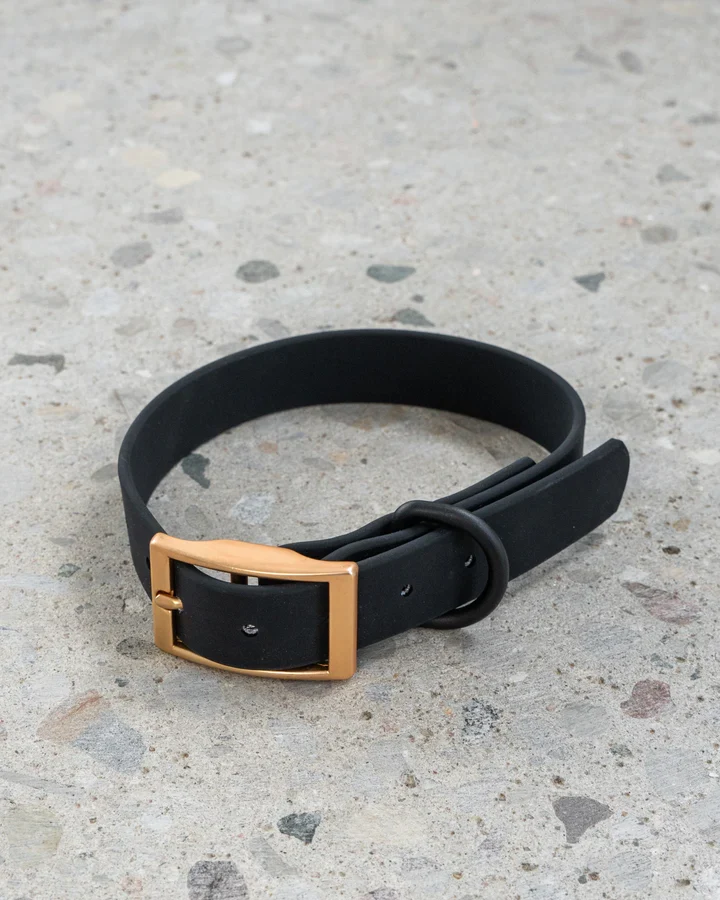 Dexypaws - Collier Imperméable - Noir - Chien