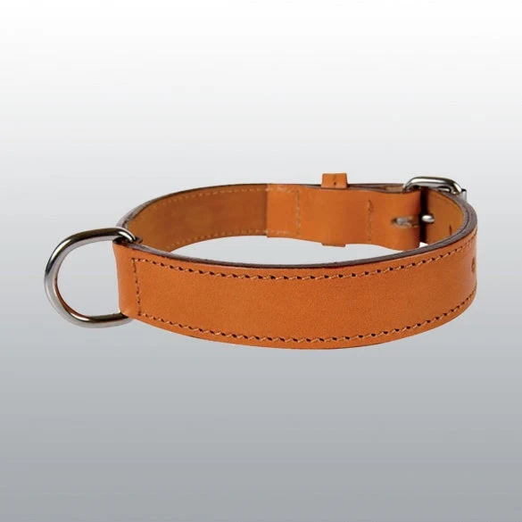 Collier en cuir double chien