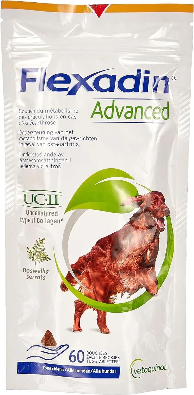 Flexadin Advanced Chew Original articulations chien
