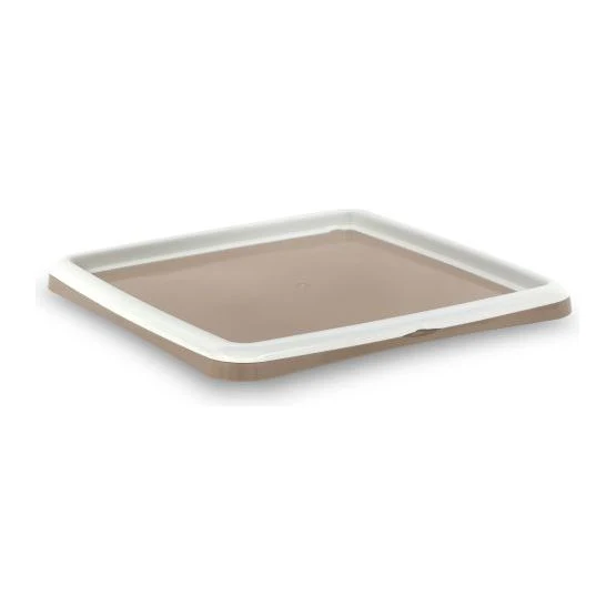 Plateau d'Entraînement pour Tapis de Propreté