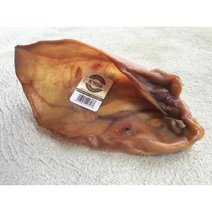 Oreille de Porc Géante