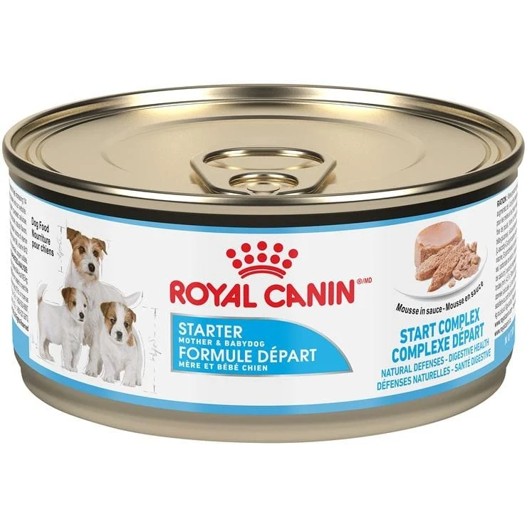 Royal Canin Starter Mousse - Canned Puppy / Dog Food (145g)