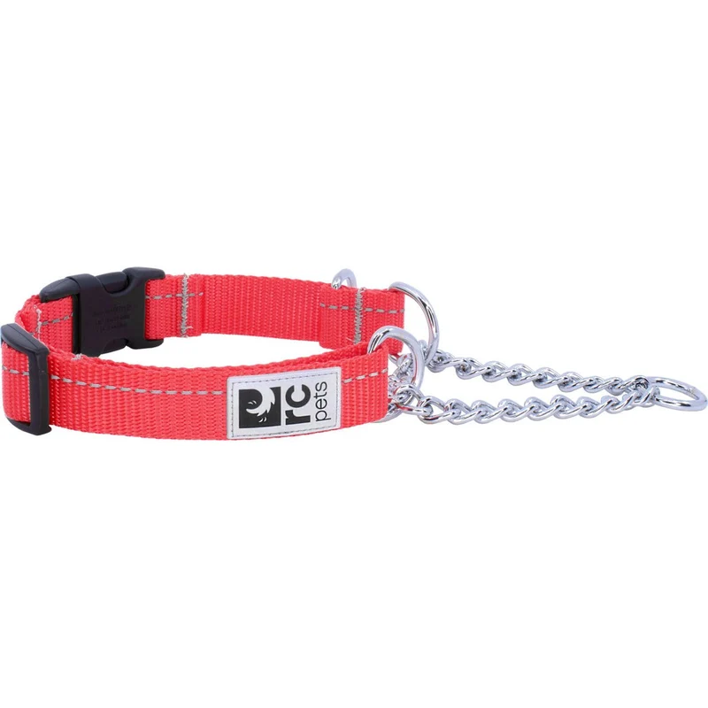 Collier de Dressage Ajustable de Base - RC Pets