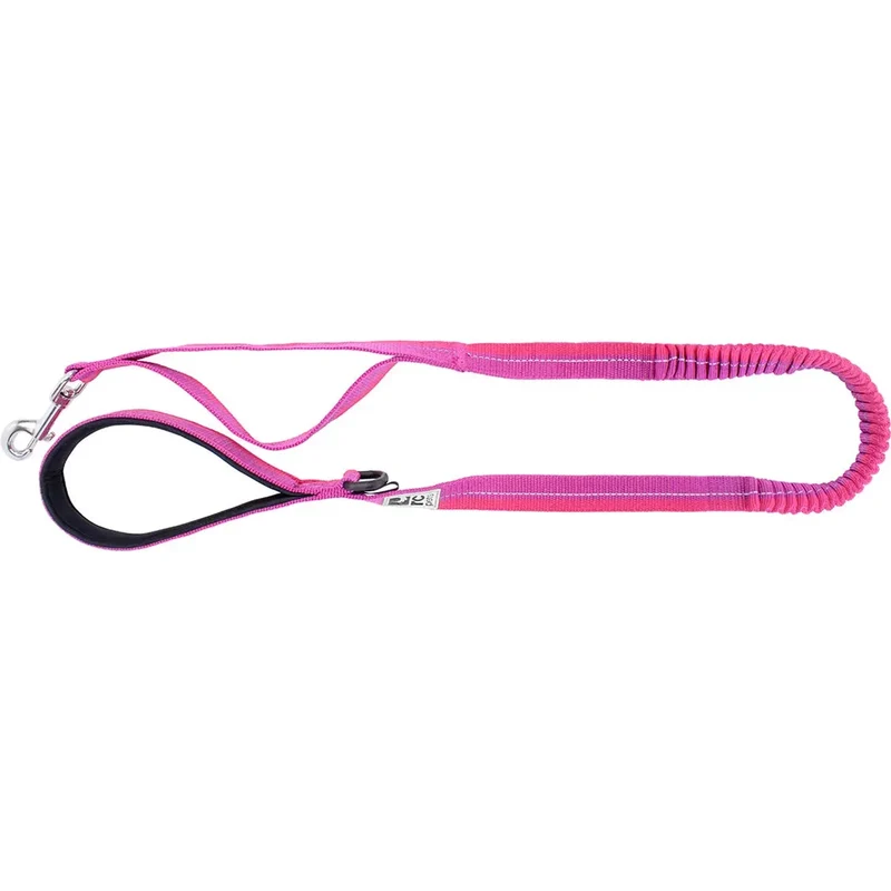 Laisse Bungee RC Pets