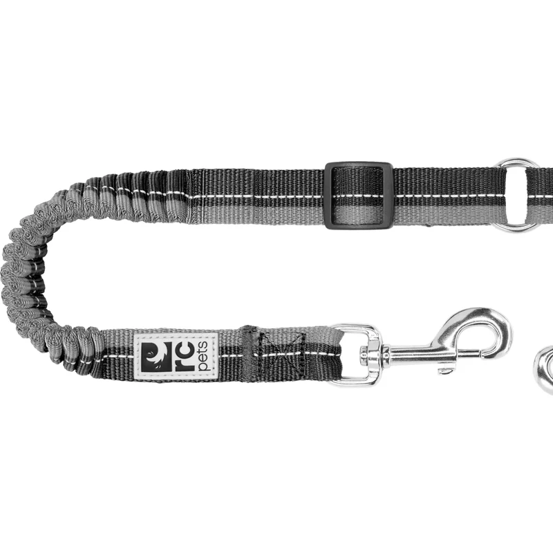 Coupleur Élastique Bungee RC Pets