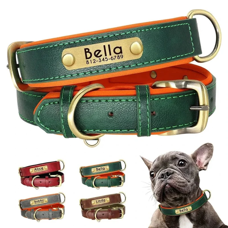 Collier en cuir personnalisé pour chien – avec plaque gravée nom