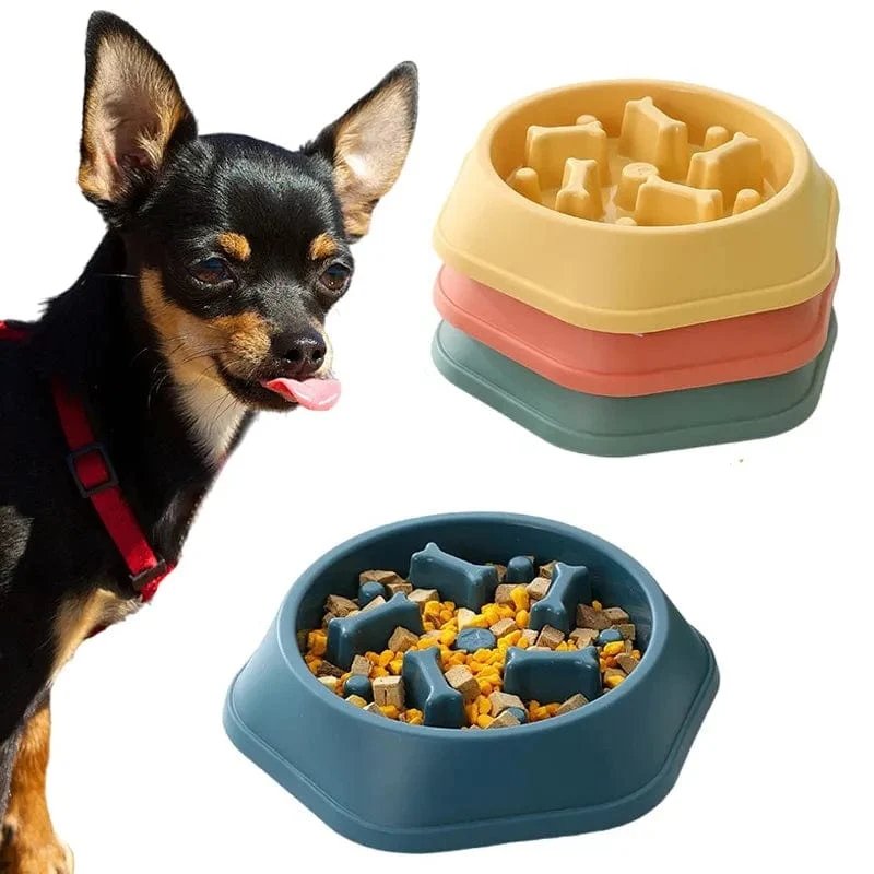 Bol slow food pour chiens et chats